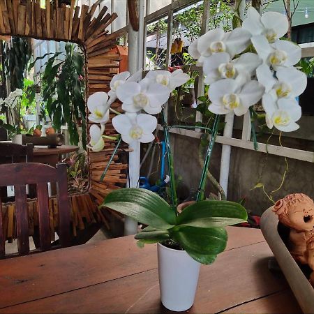 Aunt & Uncle'S House Bed & Breakfast Chiang Mai Exterior foto