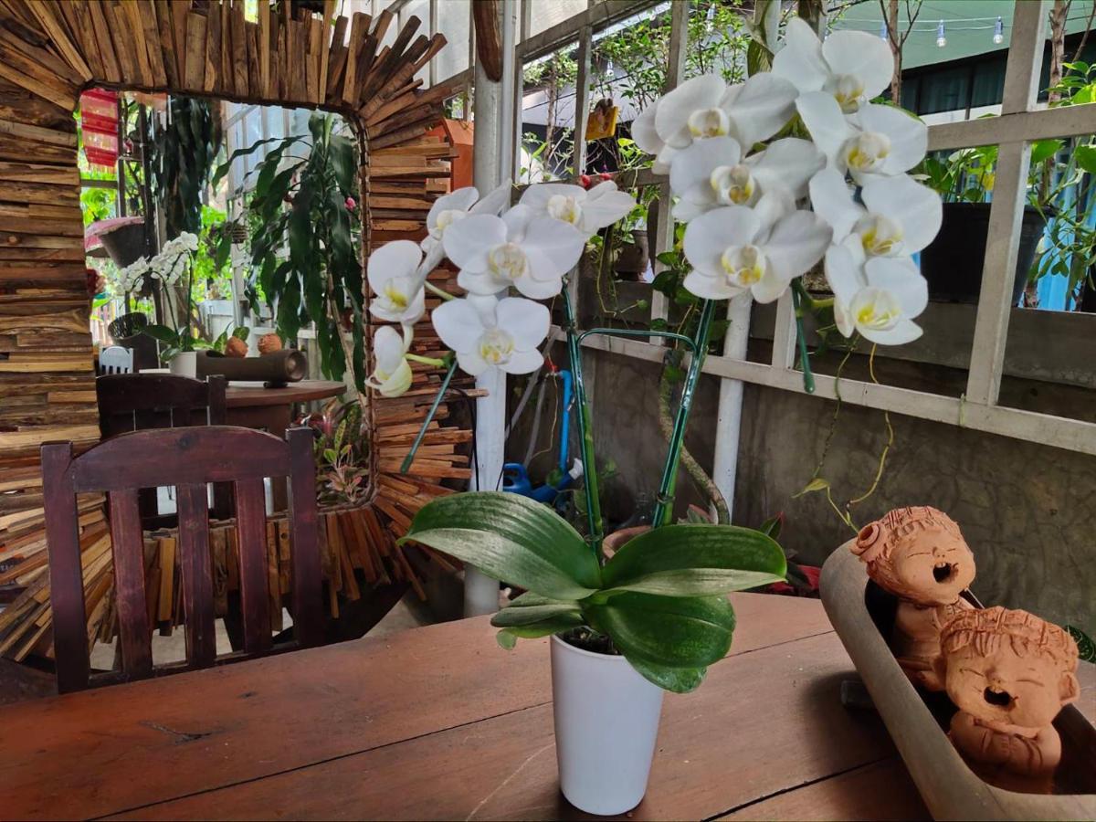 Aunt & Uncle'S House Bed & Breakfast Chiang Mai Exterior foto